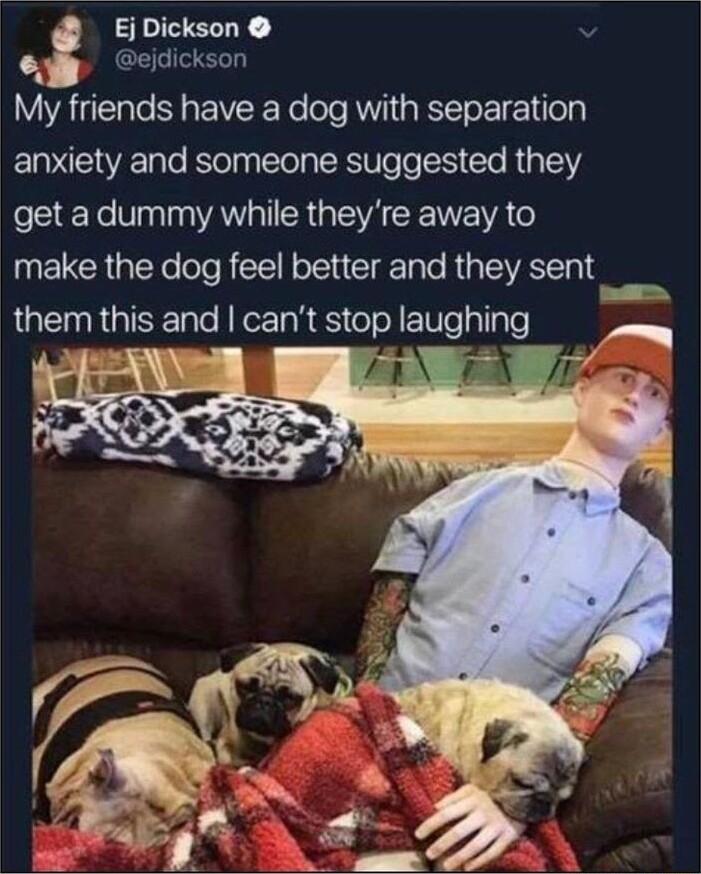 Ej Dickson v oy cidickson My friends have a dog with separation E VR T Kol Tl RV oo S le R p 1 get adummy while theyre away to make the dog feel better and they sent_ them this and cant stop laughing