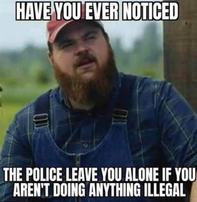 HAVE YOU EVER NOTICED THE POLICE LEAVE YOU ALONE IF YOU AREN'T DOING ANYTHING ILLEGAL