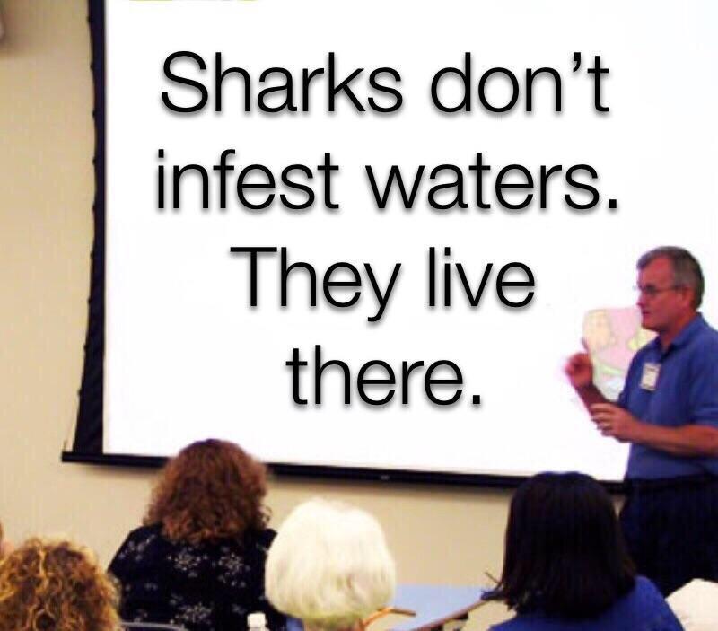 Sharks dont infest waters They live there