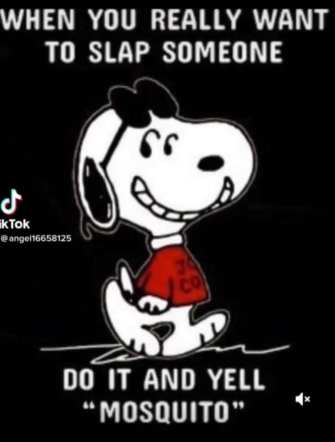 WHEN YOU REALLY WANT TO SLAP SOMEONE DO IT AND YELL 