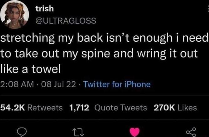 trish ULTRAGLOSS stretching my back isnt enough i need to take out my spine and wring it out like a towel 208 AM 08 Jul 22 Twitter for iPhone L L QR E g PO CR N Ol 1 o QREES o o2