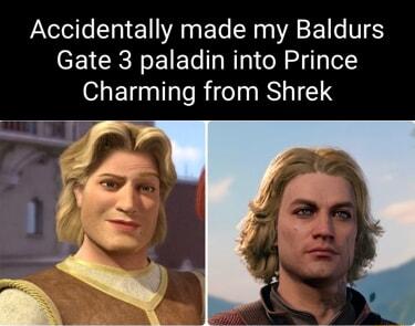 Accidentally made my Baldurs Gate 3 paladin into Prince Charming from Shrek