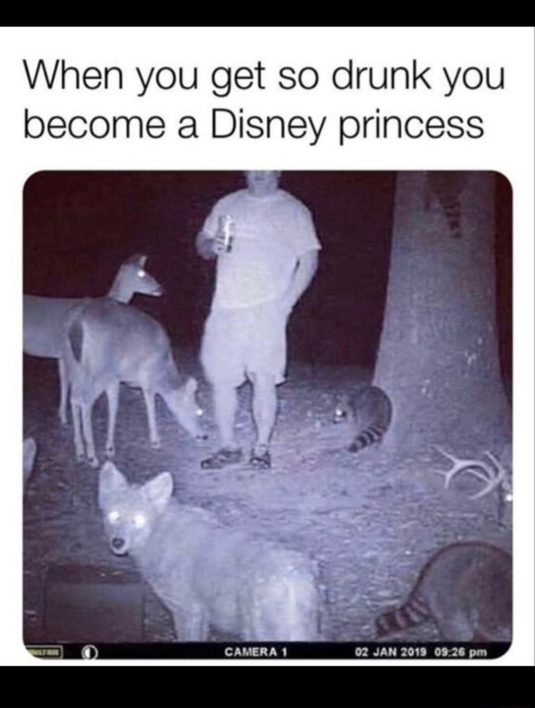 When you get so drunk you become a Disney princess