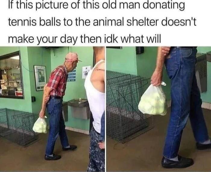 this picture of this old man donating tennis balls to the animal shelter doesnt make your day then idk what will