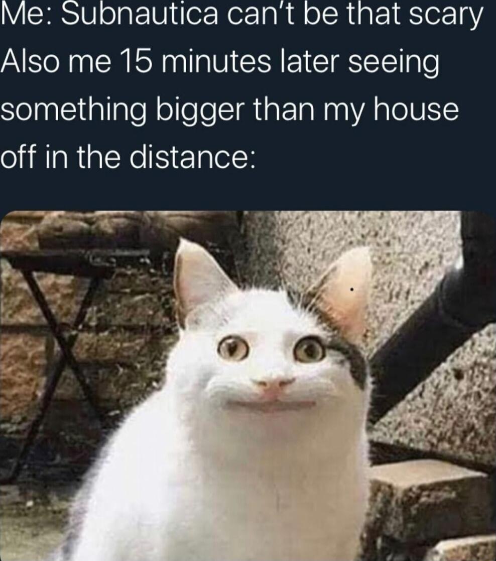 Me Subnautica cant be that scary Also me 15 minutes later seeing Selntiiallglef olleTeIRiatTaNaaVAgleIUY oillaRistNeSieglelH T T o