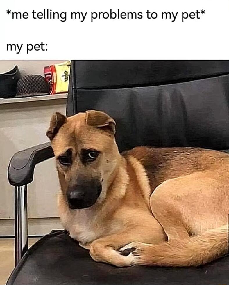 me telling my problems to my pet my pet