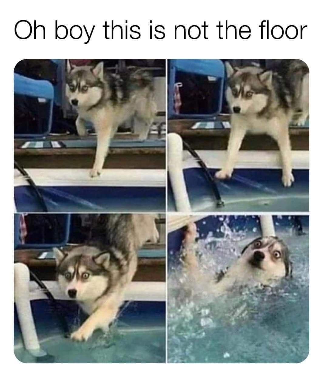 Oh boy this is not the floor