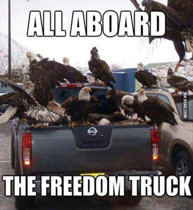 ALL ABOARD THE FREEDOM TRUCK