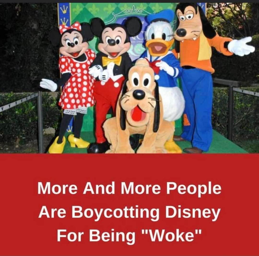 More And More People Are Boycotting Disney Woke For Being