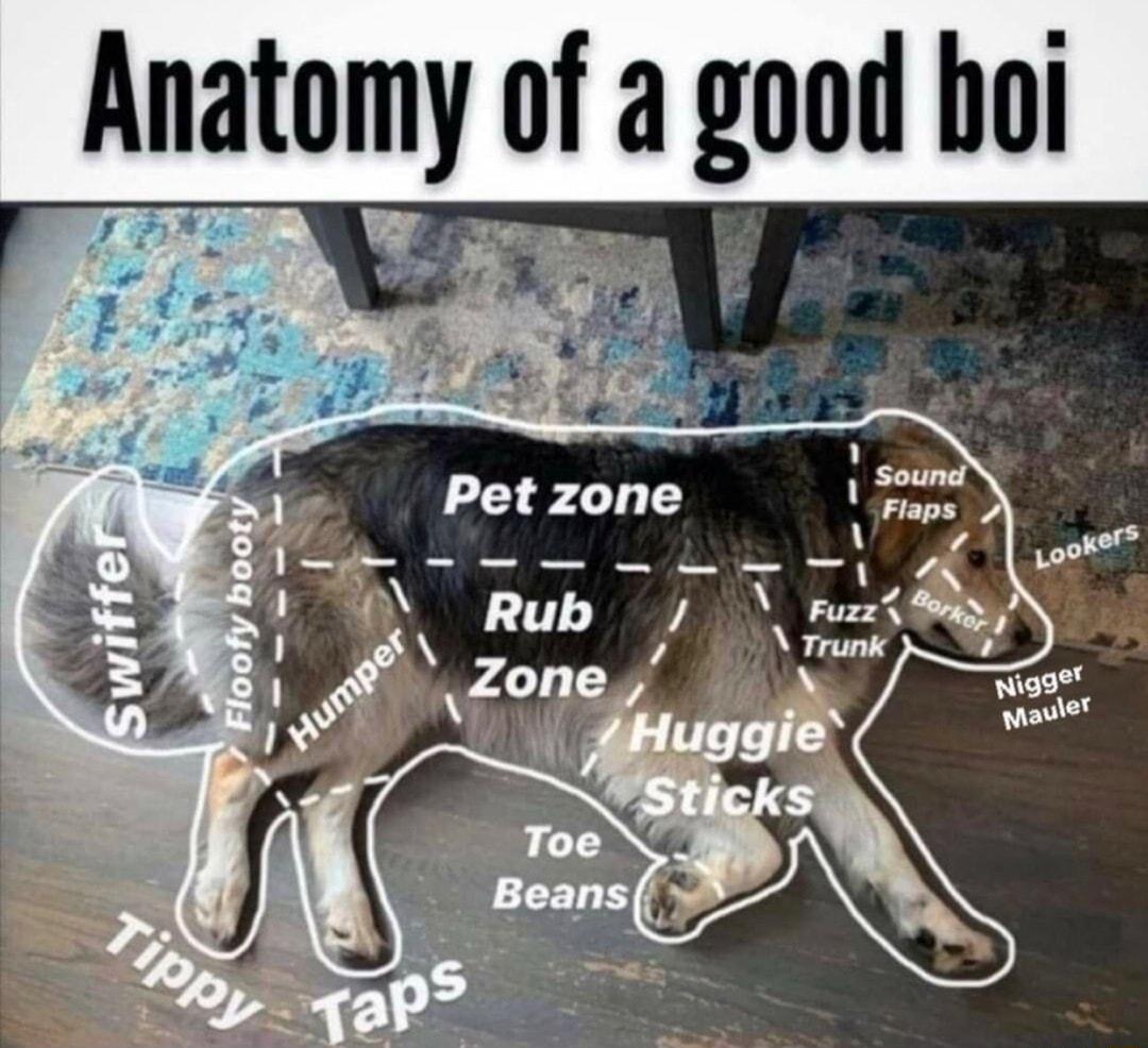 Anatomy f a good boi yH