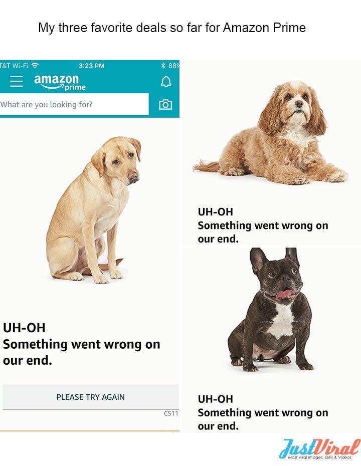 My three favorite deals so far for Amazon Prime fi amazon Tprime EPEY What are you looking for UH OH Something went wrong on our end UH OH Something went wrong on our end PLEASE TRY AGAIN UH OH csii Something went wrong on our end