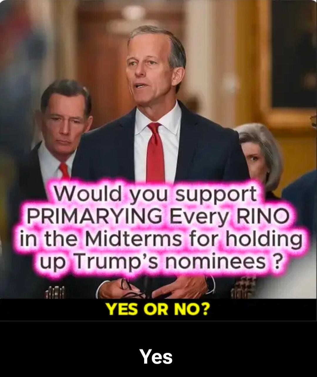 Would you support PRIMARING Every RINO in the Midterms for holding up Trump's nominees? YES OR NO? Yes