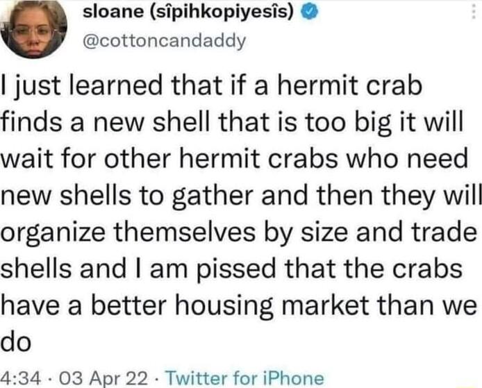 sloane sipihkopiyesis cottoncandaddy just learned that if a hermit crab finds a new shell that is too big it will wait for other hermit crabs who need new shells to gather and then they will organize themselves by size and trade shells and am pissed that the crabs have a better housing market than we do 434 03 Apr 22 Twitter for iPhone