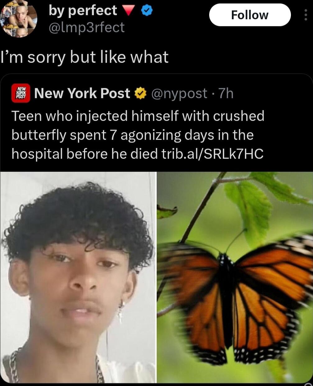 P ot e lmp3rfect Im sorry but like what New York Post nypost 7h Teen who injected himself with crushed butterfly spent 7 agonizing days in the hospital before he died tribalSRLK7HC