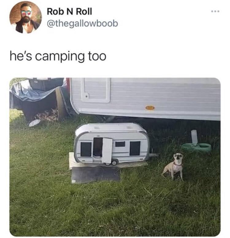 Rob N Roll thegallowboob hes camping too