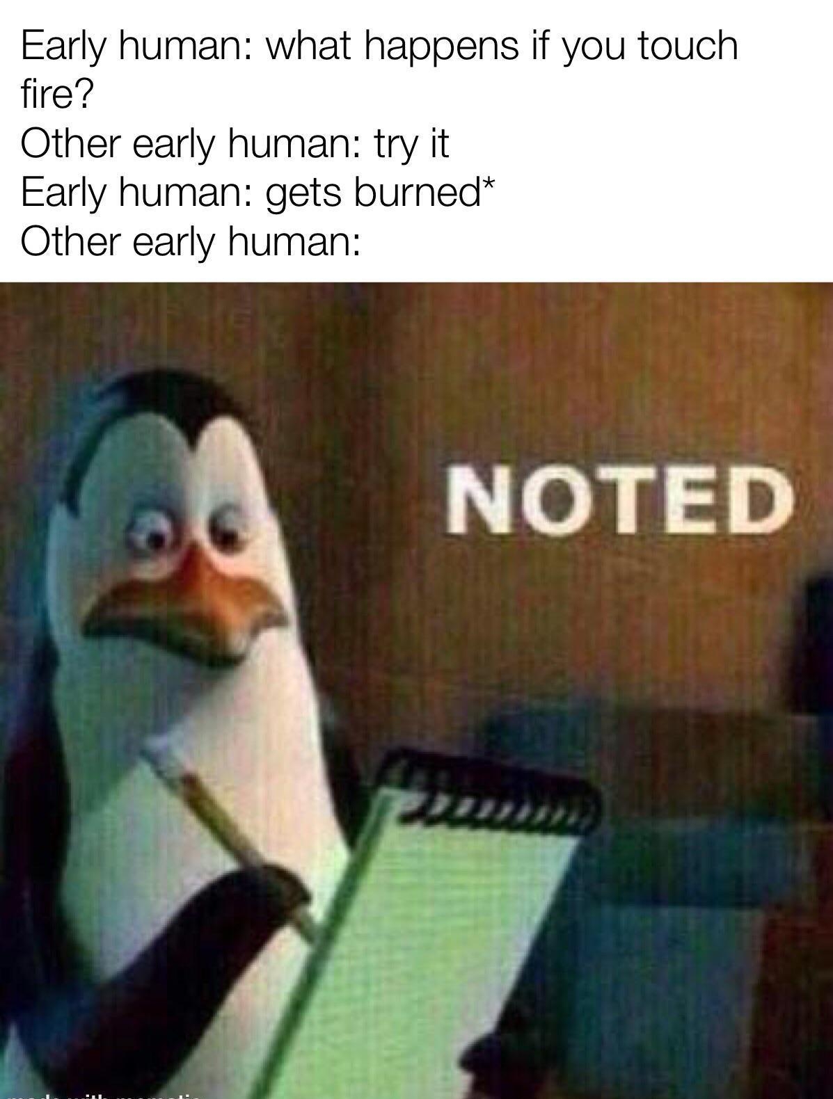 Early human what happens if you touch fire Other early human try it Early human gets burned Other early human NOTED