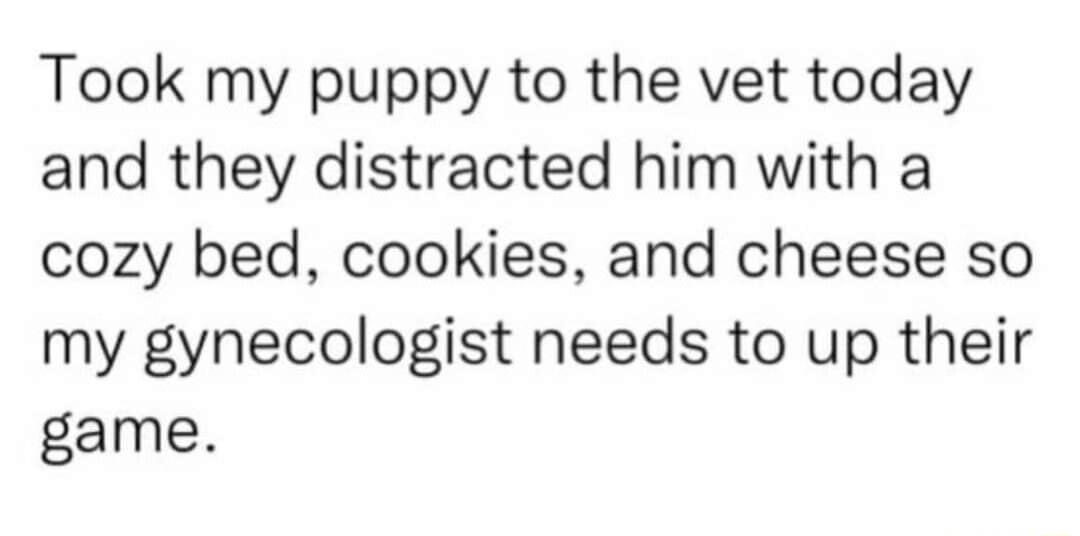 Took my puppy to the vet today and they distracted him with a cozy bed cookies and cheese so my gynecologist needs to up their game