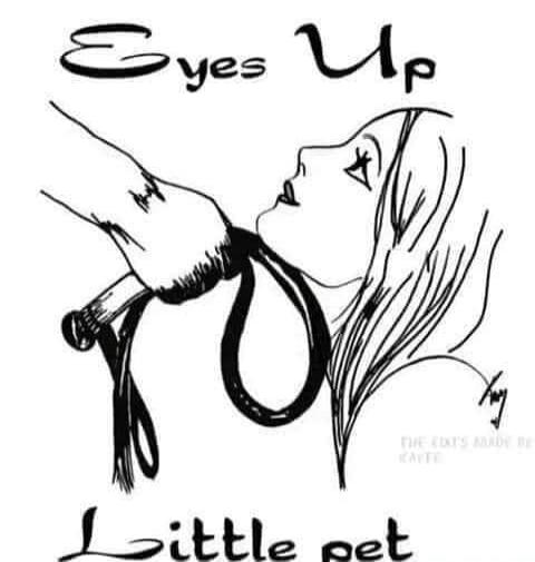 Eyes Up Little pet