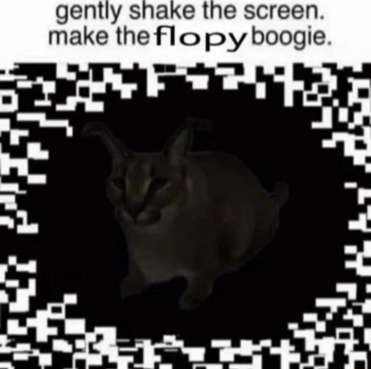 gently shake the screen make theopy boogie 3 2 k aakt m y