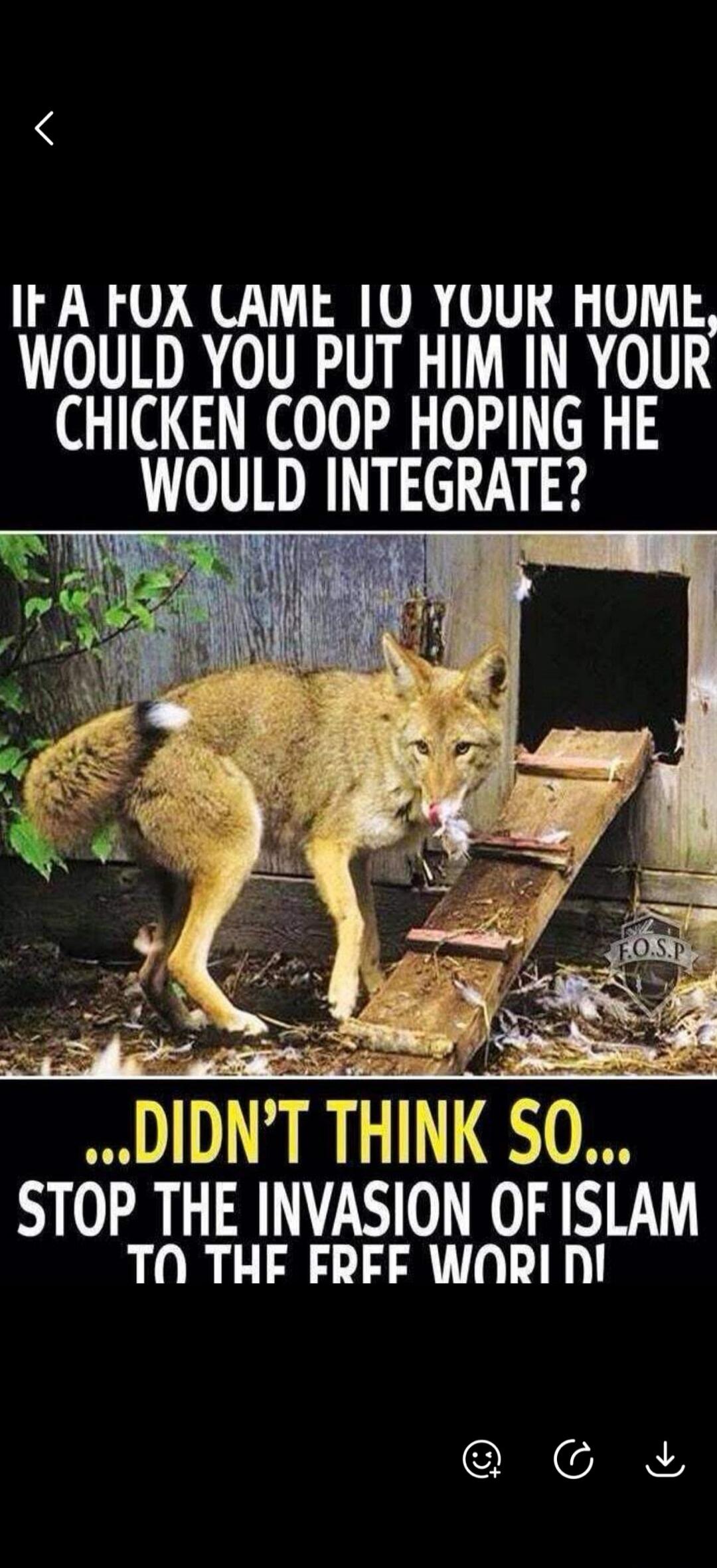 IF A FOX CAME TO YOUR HOME, WOULD YOU PUT HIM IN YOUR CHICKEN COOP HOPING HE WOULD INTEGRATE? ...DIDN'T THINK SO... STOP THE INVASION OF ISLAM TO THE FREE WORLD!