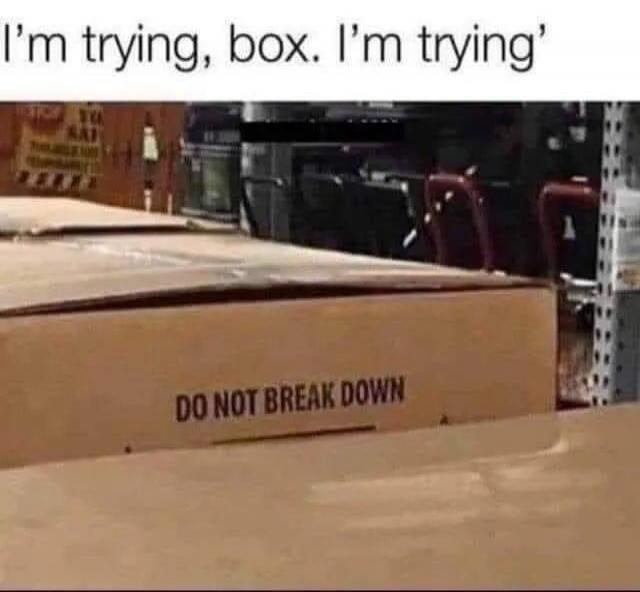 I'm trying, box. I'm trying. DO NOT BREAK DOWN