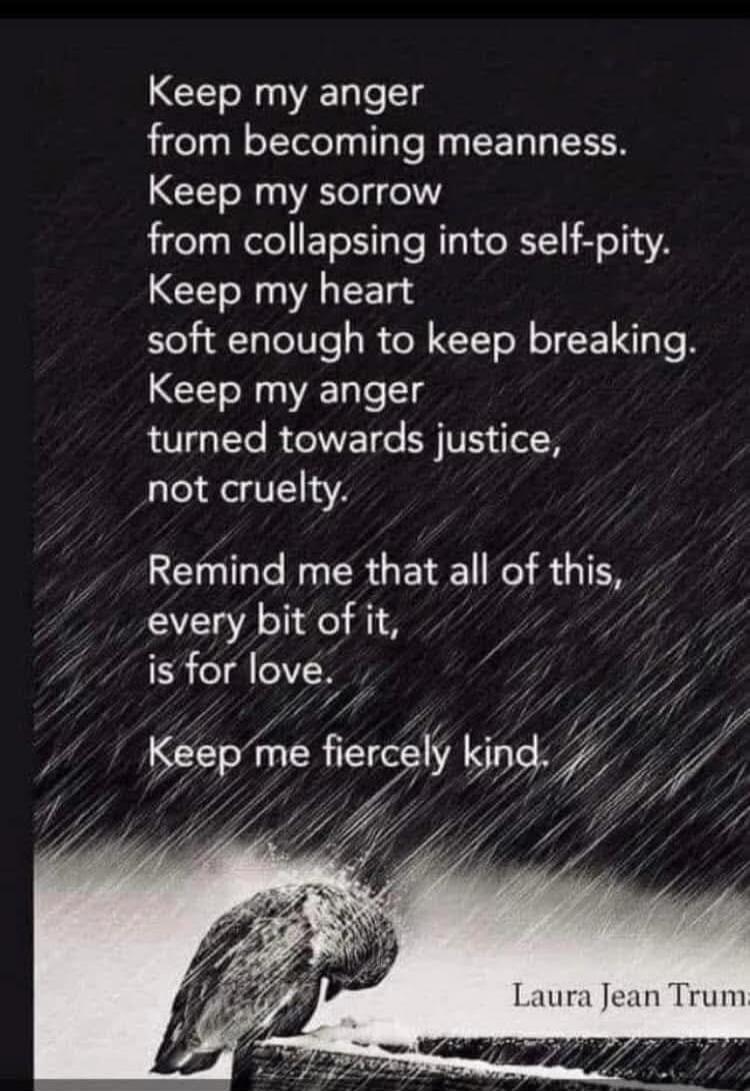 Keep my anger from becoming meanness. Keep my sorrow from collapsing into self-pity. Keep my heart soft enough to keep breaking. Keep my anger turned towards justice, not cruelty. Remind me that all of this, every bit of it, is for love. Keep me fiercely kind. Laura Jean Truma