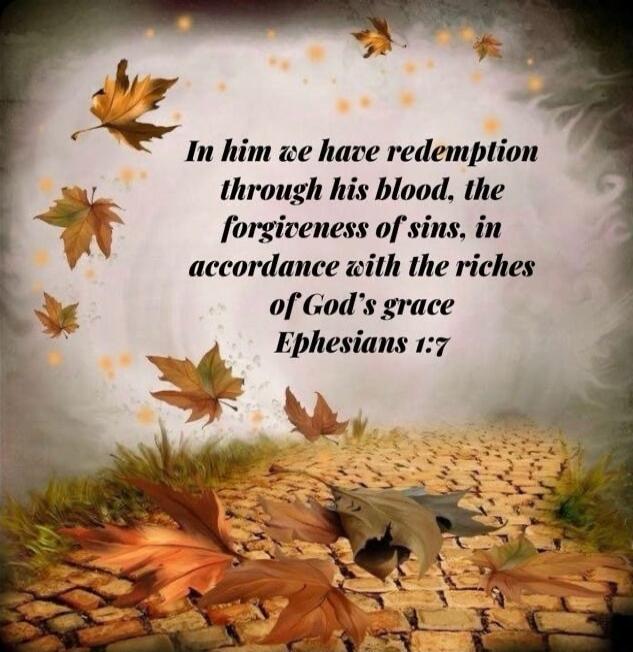 In him we have redemption through his blood, the forgiveness of sins, in accordance with the riches of God's grace Ephesians 1:7