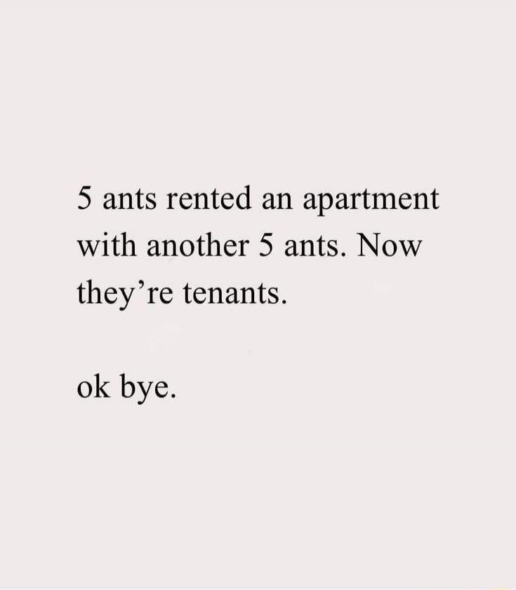 5 ants rented an apartment with another 5 ants. Now they're tenants. ok bye.