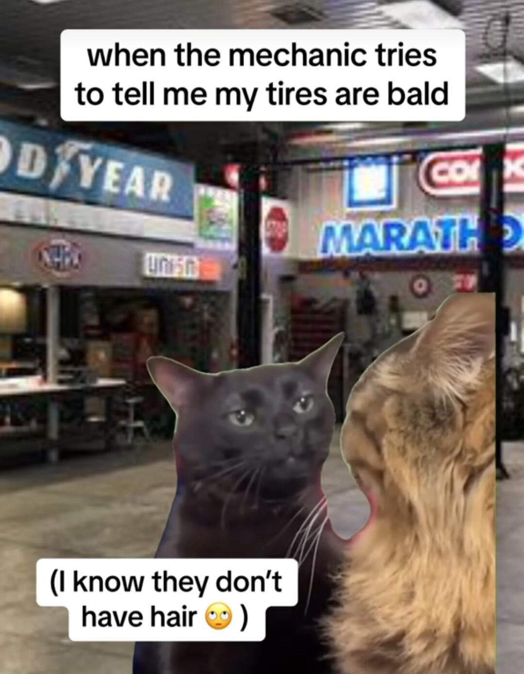 when the mechanic tries to tell me my tires are bald I know they dont y have hair