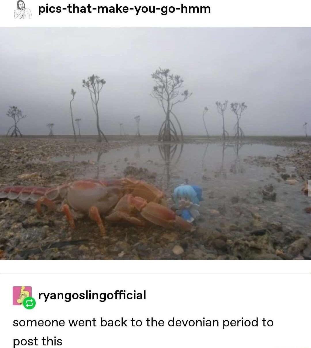 pics that make you go hmm gryangoslingofcial someone went back to the devonian period to post this