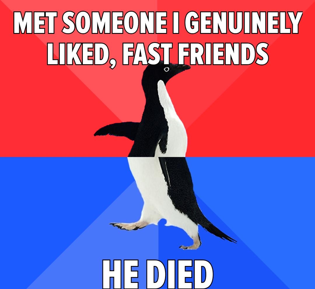 METSOMEONE GENUINELY LIKED FASTFRIENDS