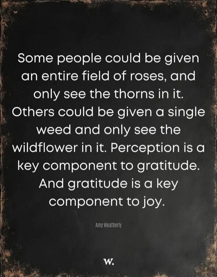 Some people could be given an entire field of roses, and only see the thorns in it. Others could be given a single weed and only see the wildflower in it. Perception is a key component to gratitude. And gratitude is a key component to joy.
