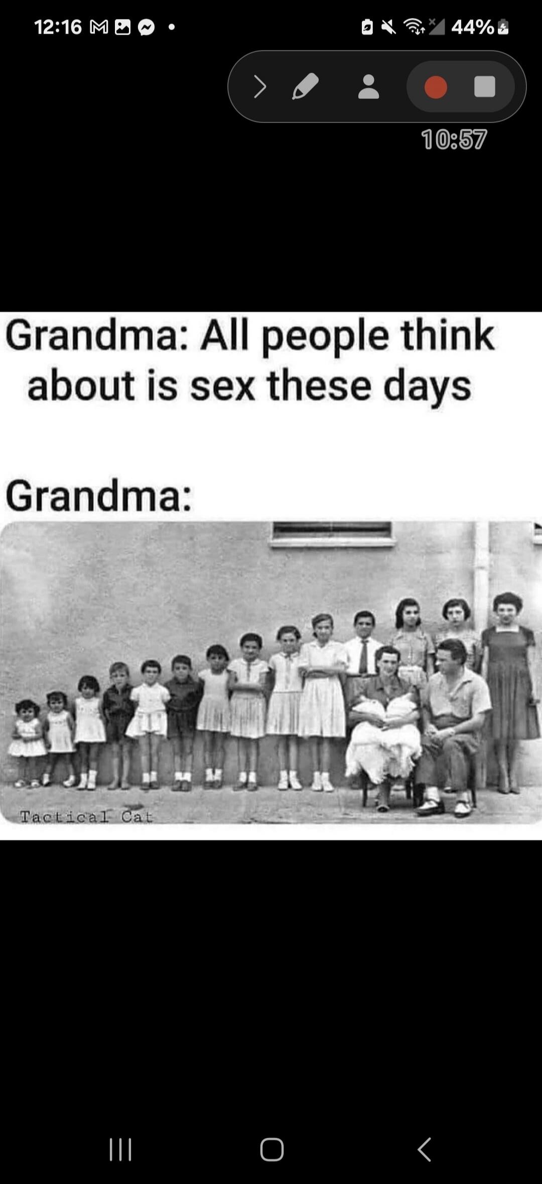 Grandma: All people think about is sex these days Grandma: [Image of a large family with many children and a couple holding babies] Tactical Cat