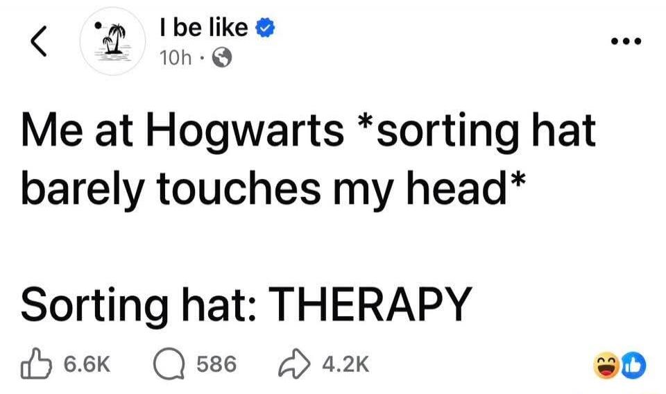 Me at Hogwarts *sorting hat barely touches my head* Sorting hat: THERAPY