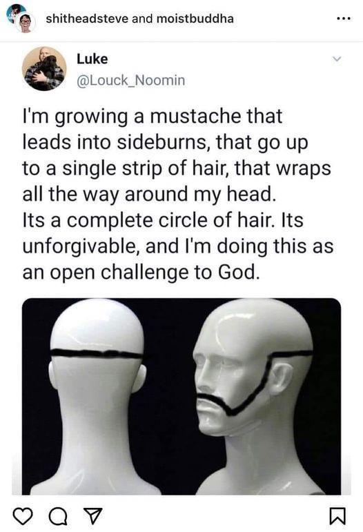 shitheadsteve and moistbuddha Luke Louck_Noomin Im growing a mustache that leads into sideburns that go up to a single strip of hair that wraps all the way around my head Its a complete circle of hair Its unforgivable and Im doing this as an open challenge to God