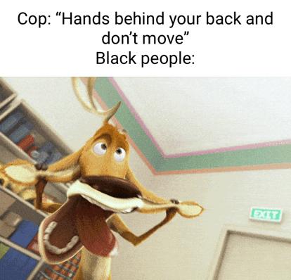 Cop Hands behind your back and dont move Black people