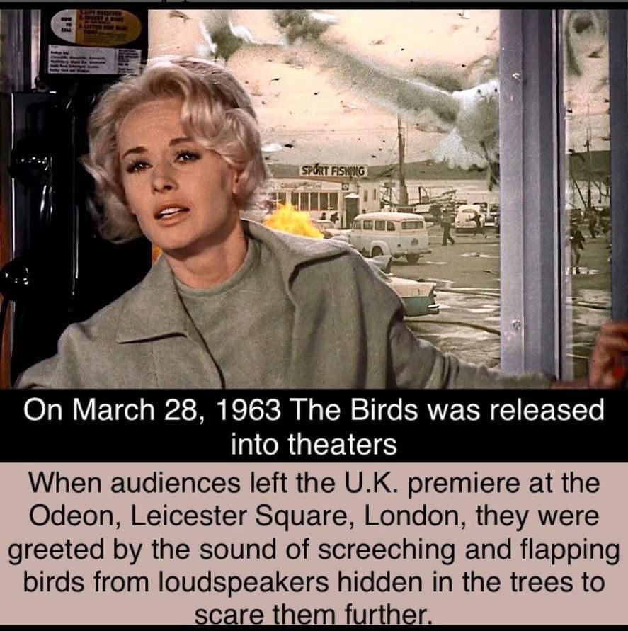 28 1963 The Birds was released ICRGEECIE When audiences left the UK premiere at the Odeon Leicester Square London they were greeted by the sound of screeching and flapping birds from loudspeakers hidden in the trees to