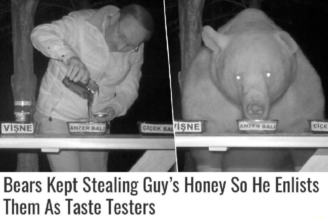 4 Bears Kept Stealing Guys Honey So He Enlists Them As Taste Testers