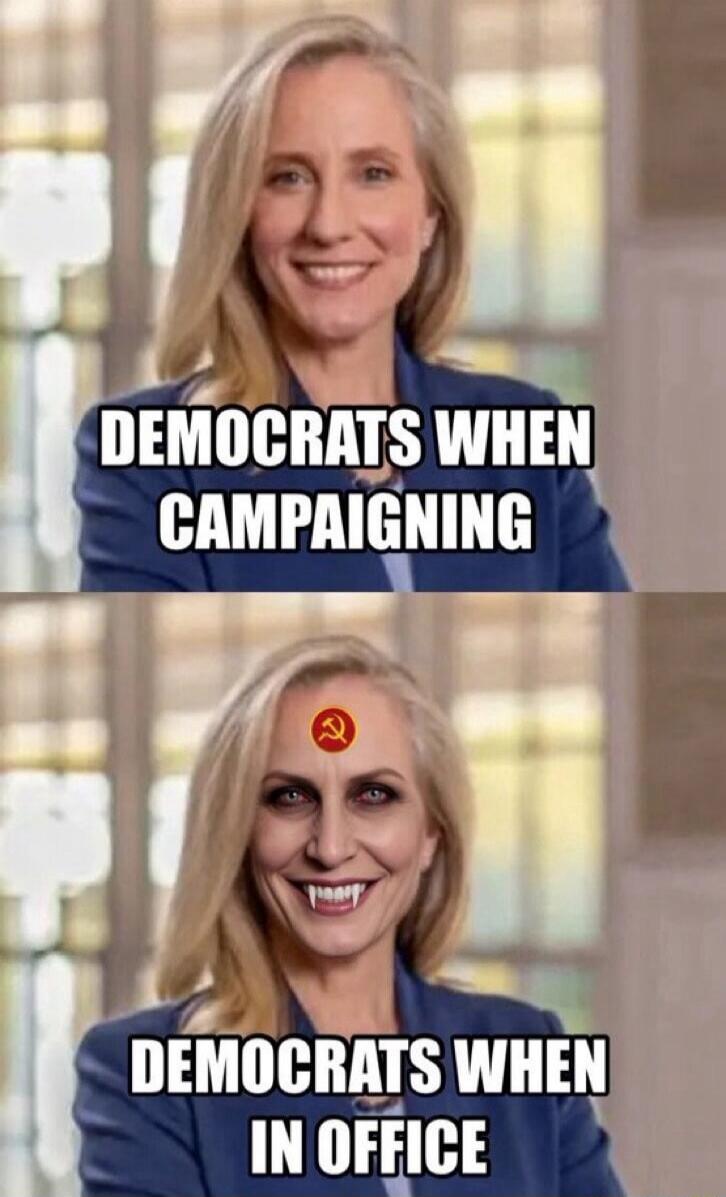 DEMOCRATS WHEN CAMPAIGNING DEMOCRATS WHEN IN OFFICE