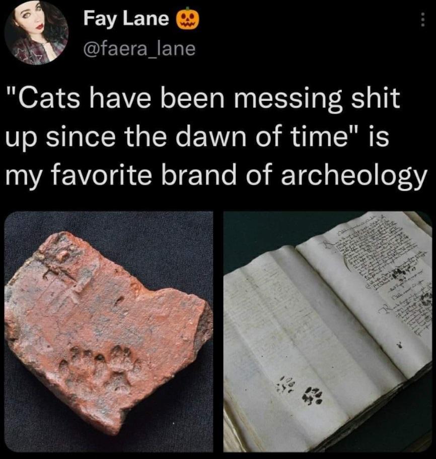 s Fay Lane oy y faera_lane Cats have been messing shit up since the dawn of time is 00 e TN N o TaTe o T o1 aTo oAY