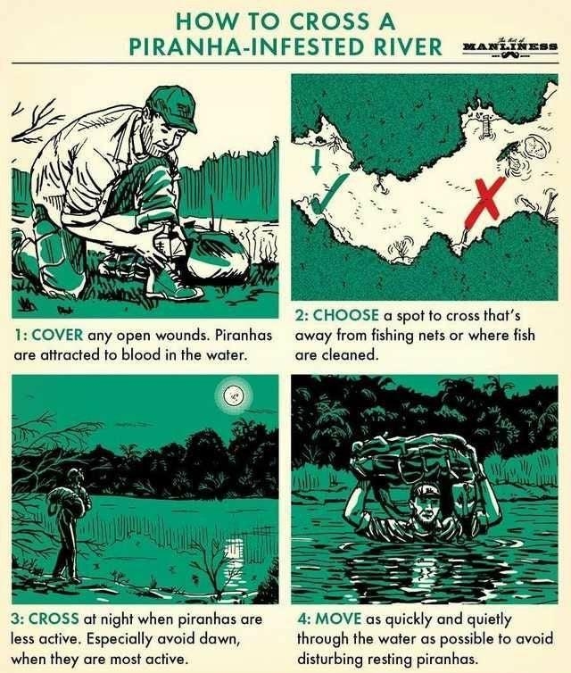 HOW TO CROSS A PIRANHA INFESTED RI 1 COVER any open wounds Piranhas are aftracted to blood in the water 3 CROSS af night when piranhas are less active Especially avoid dawn when they are most acfive 2 CHOOSE a spot fo cross thats away from fishing nets or where fish are cleaned 4 MOVE as quickly and quietly through the water as possible fo avoid disturbing resting piranhas