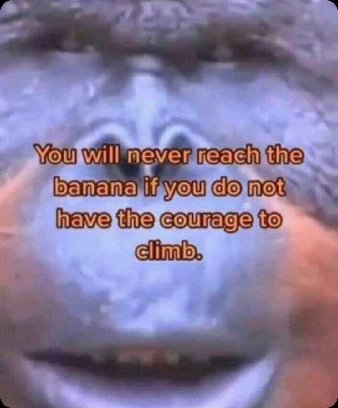 P VoS Vo wiill nevey nnn bERER I Yeu clo Aok heve the courage climis