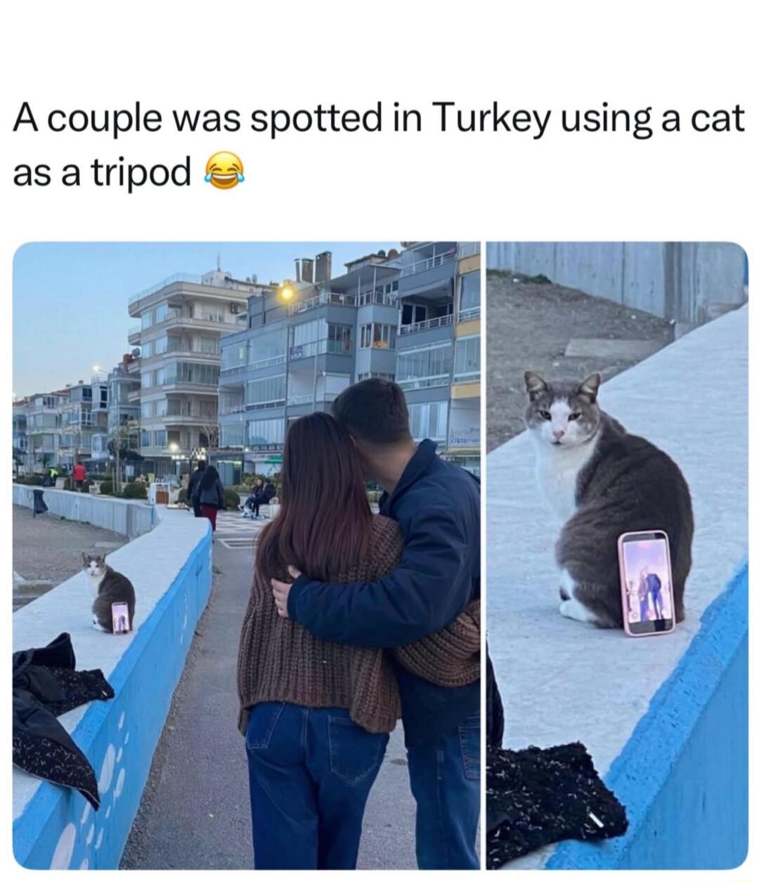A couple was spotted in Turkey using a cat as a tripod 😂