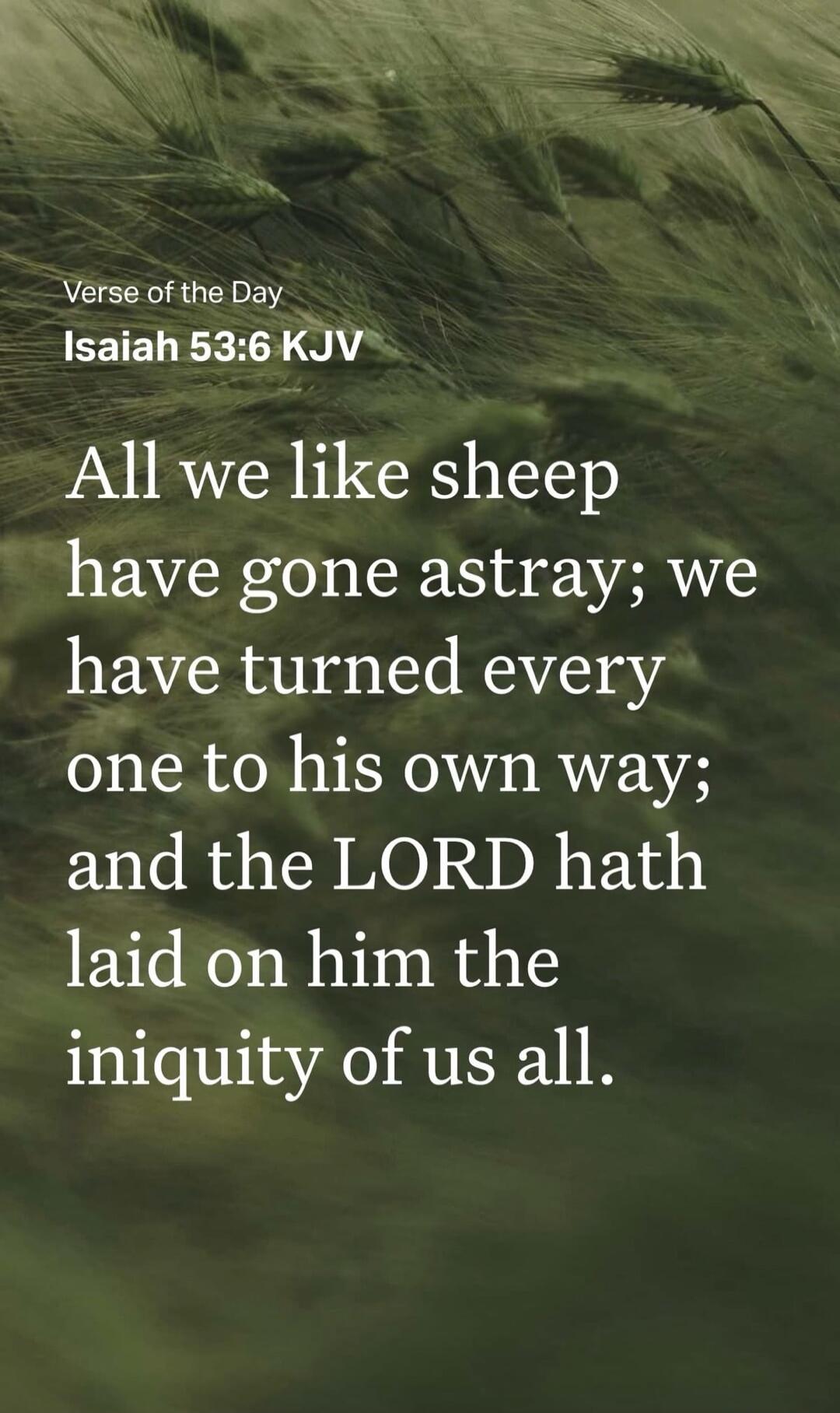 Verse of the Day Isaiah 53:6 KJV All we like sheep have gone astray; we have turned every one to his own way; and the LORD hath laid on him the iniquity of us all.