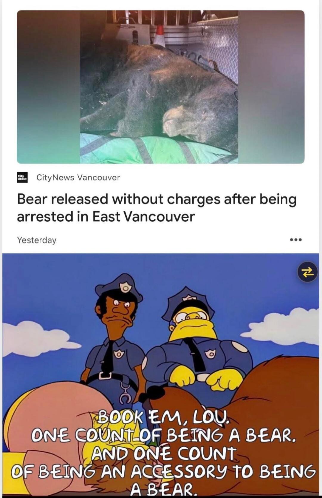 CityNews Vancouver Bear released without charges after being arrested in East Vancouver Yesterday BOOK 'EM, LOU. ONE COUNT OF BEING A BEAR. AND ONE COUNT OF BEING AN ACCESSORY TO BEING A BEAR.