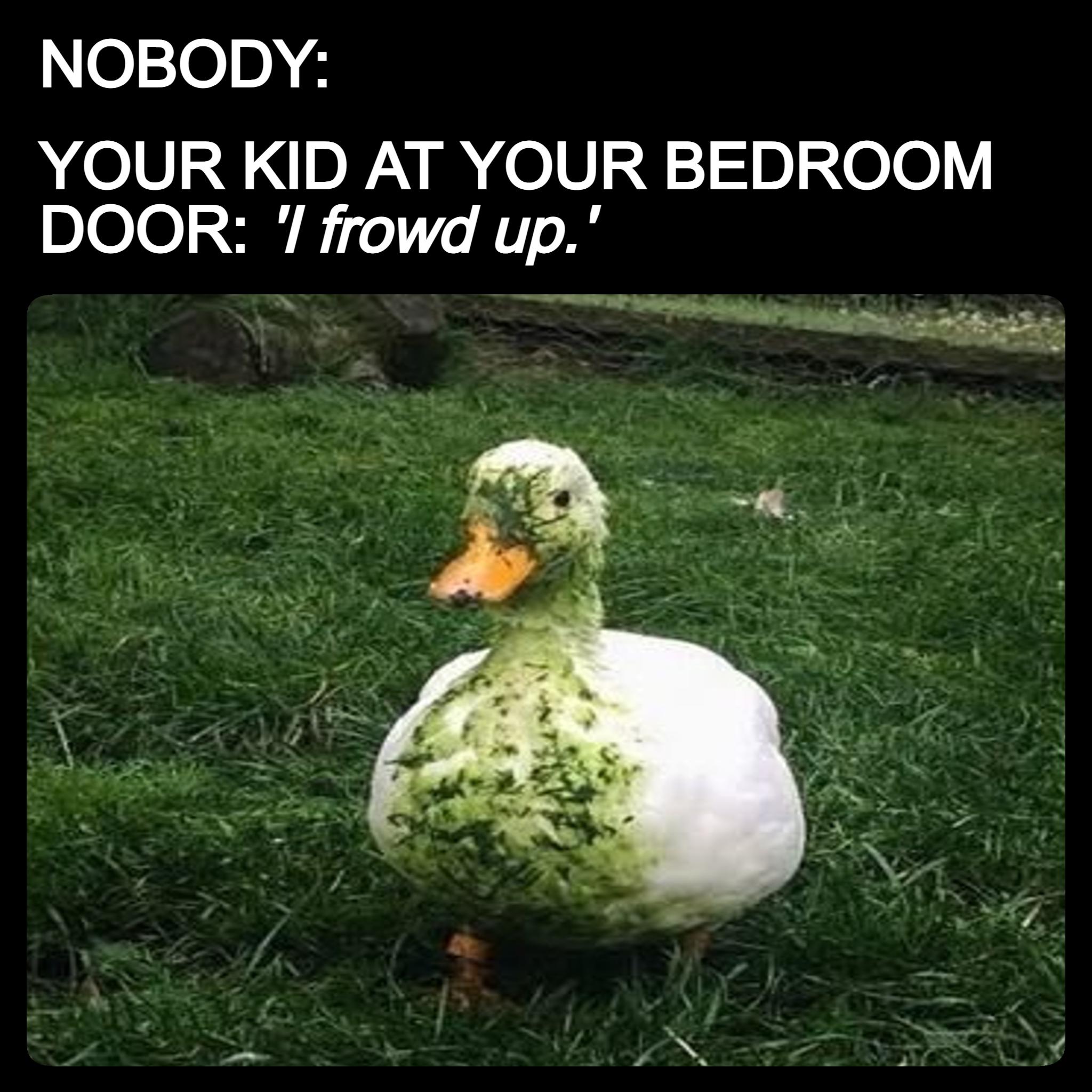 elen YOUR KID AT YOUR BEDROOM DOOR 7 frowd up A