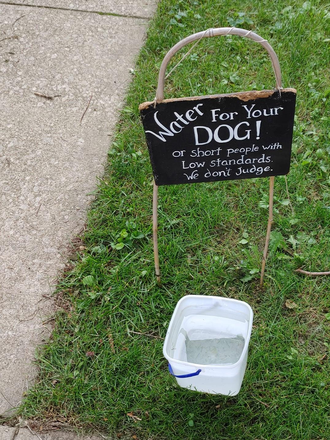 For Your TS oG or short people ith 0 Low standards ot S donit Jue9e e