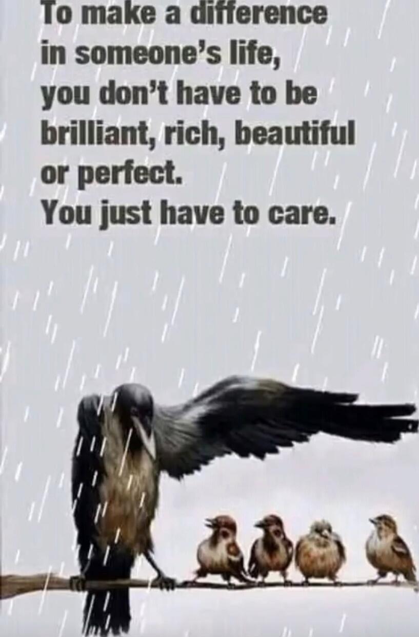 To make a difference in someone's life, you don't have to be brilliant, rich, beautiful or perfect. You just have to care.