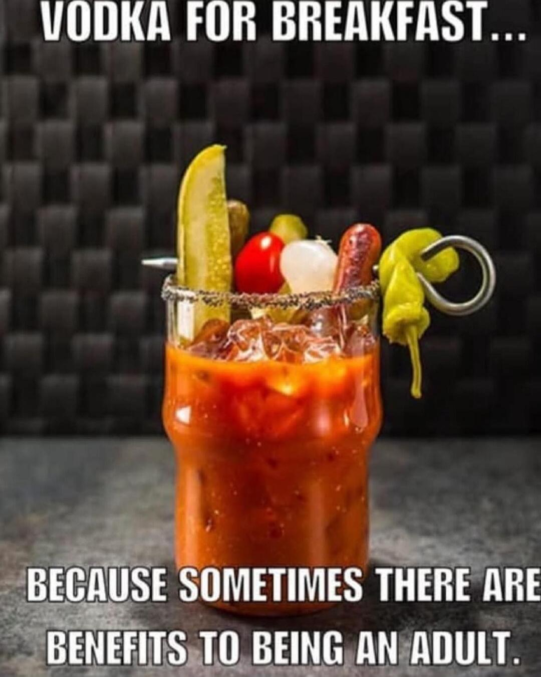 VODKA FOR BREAKFAST... BECAUSE SOMETIMES THERE ARE BENEFITS TO BEING AN ADULT.