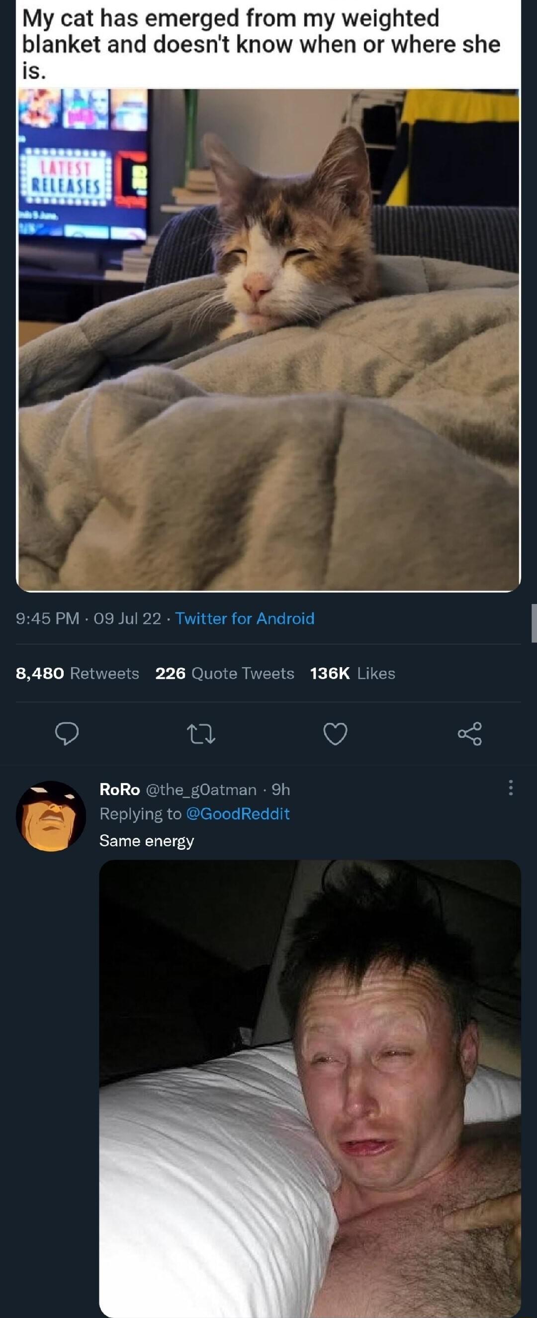 My cat has emerged from my weighted blanket and doesnt know when or where she 45 PM 09 Jul 22 Twitter for Android 8480 Retwests 226 Qu 136K Like Same energy